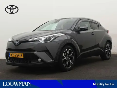 Used TOYOTA C-HR Hybrid 2019 Ad 