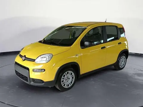 Used FIAT PANDA Hybrid 2024 Ad 