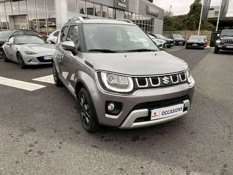 Used SUZUKI IGNIS Hybrid 2024 Ad 