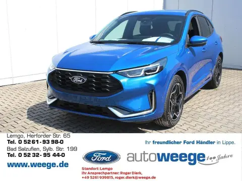 Annonce FORD KUGA Hybride 2024 d'occasion 