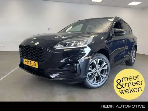 Used FORD KUGA Hybrid 2022 Ad 