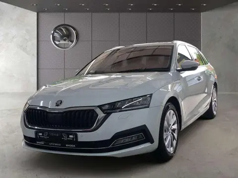 Annonce SKODA OCTAVIA Diesel 2024 d'occasion 