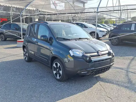 Used FIAT PANDA Hybrid 2024 Ad Italy