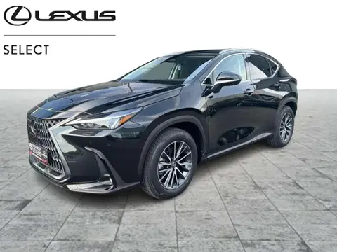 Annonce LEXUS NX Hybride 2024 d'occasion 