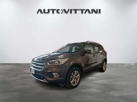 Annonce FORD KUGA Diesel 2019 d'occasion 