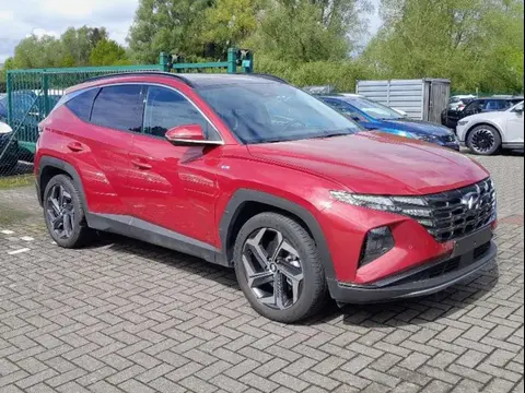 Annonce HYUNDAI TUCSON Essence 2023 d'occasion 