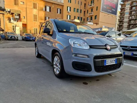 Used FIAT PANDA Hybrid 2021 Ad 