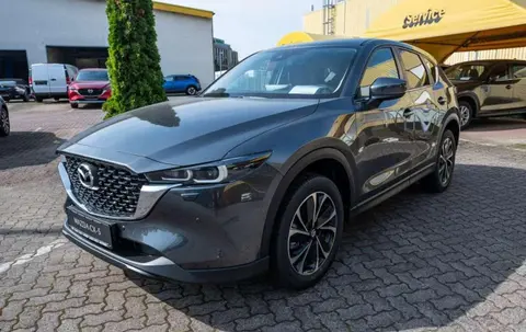 Annonce MAZDA CX-5 Essence 2024 d'occasion 