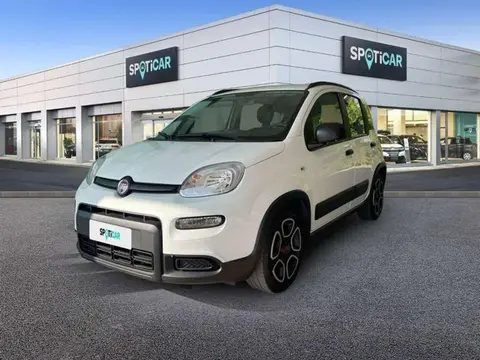 Used FIAT PANDA Petrol 2022 Ad 