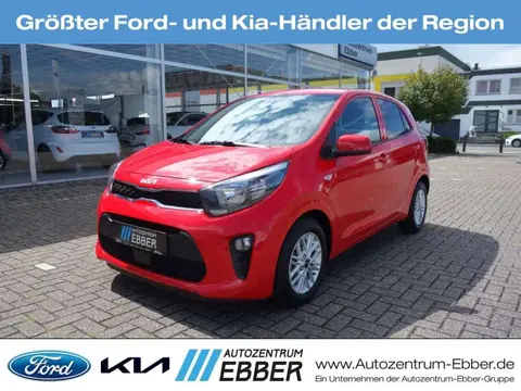 Annonce KIA PICANTO Essence 2022 d'occasion 