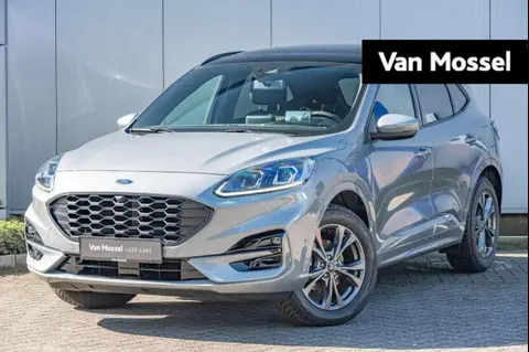 Used FORD KUGA Hybrid 2022 Ad Belgium