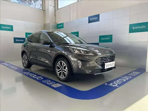 Used FORD KUGA Hybrid 2021 Ad 