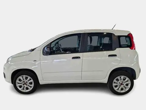 Annonce FIAT PANDA  2020 d'occasion 