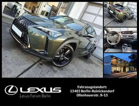 Used LEXUS UX Hybrid 2021 Ad 