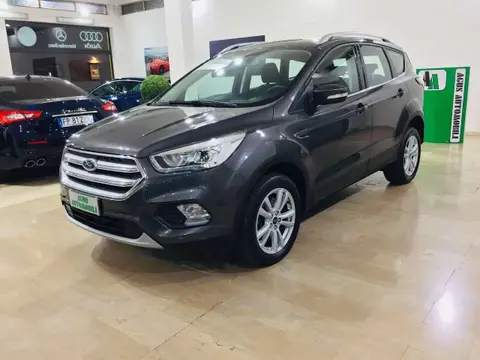 Used FORD KUGA Diesel 2019 Ad 