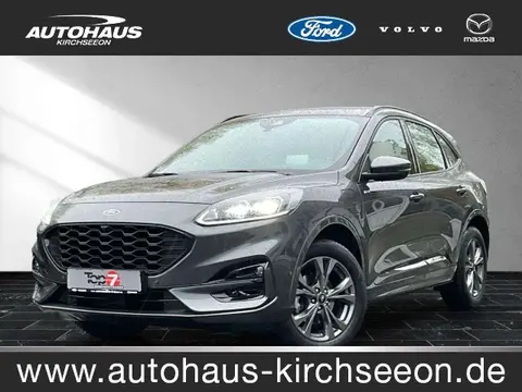 Annonce FORD KUGA Hybride 2023 d'occasion 