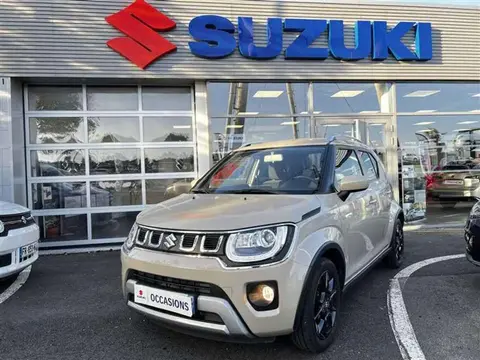 Used SUZUKI IGNIS Hybrid 2021 Ad 