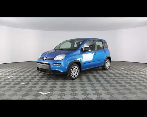 Used FIAT PANDA Hybrid 2024 Ad 