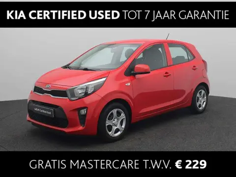 Used KIA PICANTO Petrol 2019 Ad 