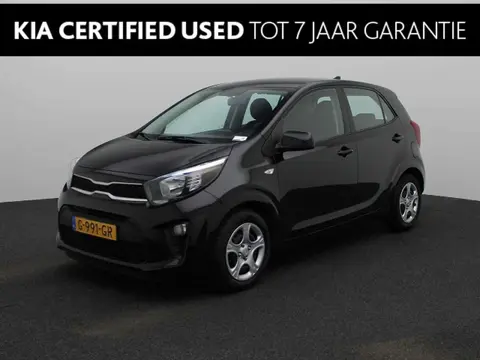 Used KIA PICANTO Petrol 2019 Ad 