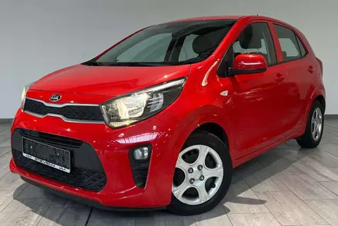 Used KIA PICANTO Petrol 2019 Ad Belgium