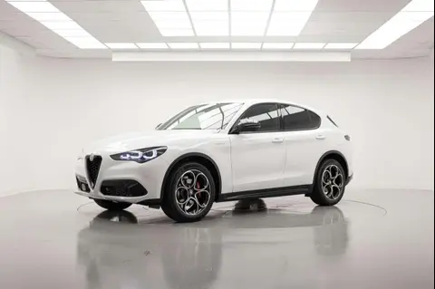 Used ALFA ROMEO STELVIO Diesel 2024 Ad 