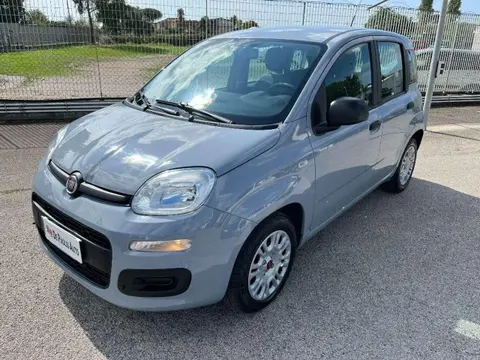 Used FIAT PANDA Hybrid 2022 Ad 