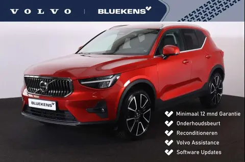 Annonce VOLVO XC40 Hybride 2023 d'occasion 