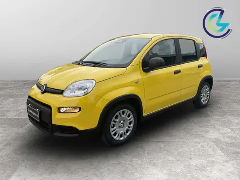 Annonce FIAT PANDA Hybride 2024 d'occasion 