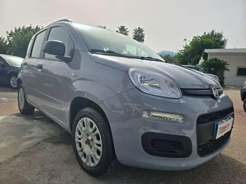 Annonce FIAT PANDA Essence 2018 d'occasion 