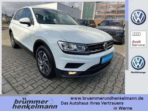 Used VOLKSWAGEN TIGUAN Petrol 2017 Ad 