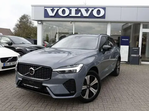 Used VOLVO XC60 Hybrid 2024 Ad 