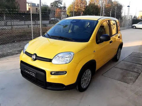 Used FIAT PANDA Hybrid 2024 Ad 