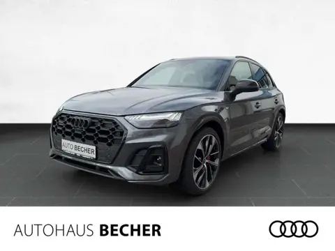 Used AUDI Q5 Diesel 2024 Ad 