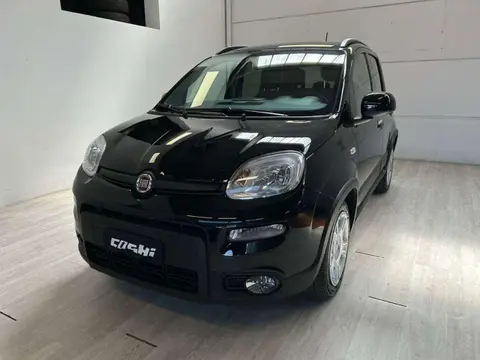 Used FIAT PANDA Hybrid 2023 Ad 