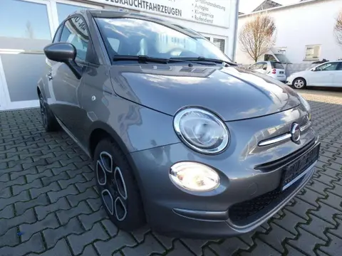 Used FIAT 500 Petrol 2022 Ad 