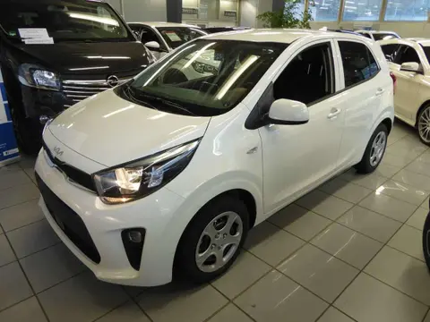 Annonce KIA PICANTO Essence 2024 d'occasion 