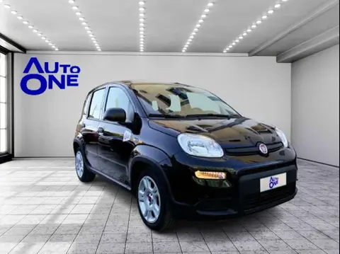 Used FIAT PANDA Hybrid 2023 Ad 