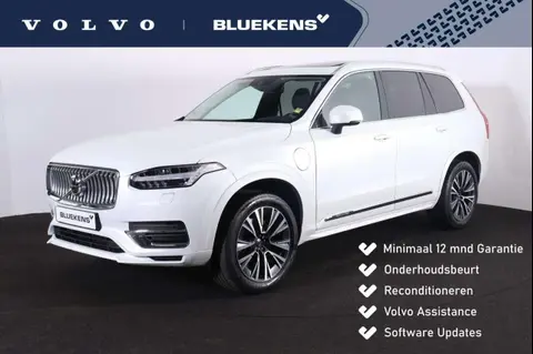 Used VOLVO XC90 Hybrid 2021 Ad 