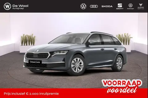 Used SKODA OCTAVIA Petrol 2024 Ad 