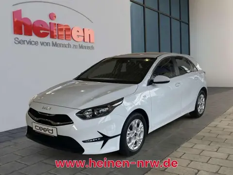 Used KIA CEED Petrol 2024 Ad 