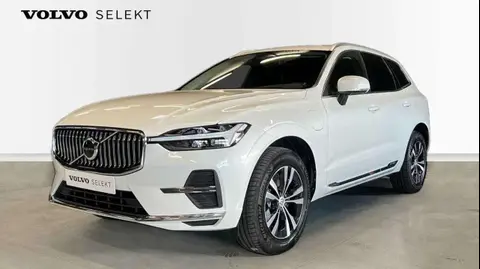 Annonce VOLVO XC60 Hybride 2021 d'occasion Belgique