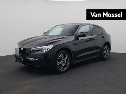 Annonce ALFA ROMEO STELVIO Essence 2022 d'occasion 