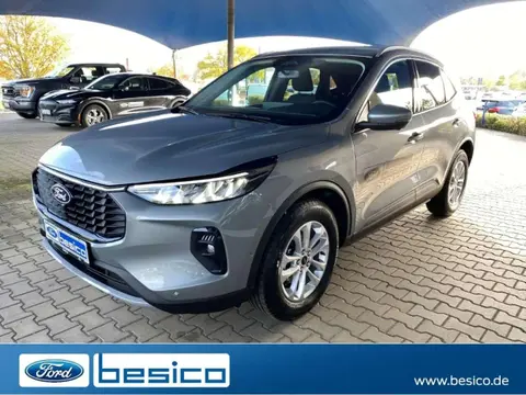 Used FORD KUGA Petrol 2024 Ad 