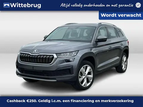 Used SKODA KODIAQ Petrol 2022 Ad 