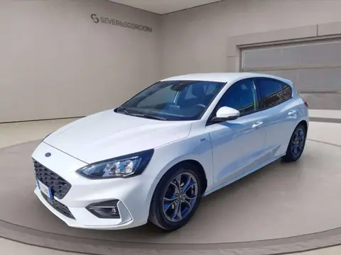 Used FORD FOCUS Hybrid 2020 Ad 