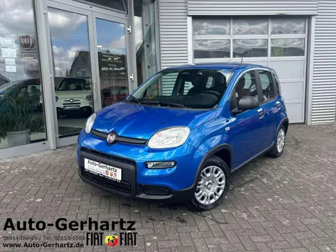 Used FIAT PANDA Petrol 2024 Ad 