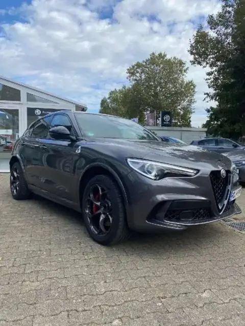 Used ALFA ROMEO STELVIO Petrol 2022 Ad 