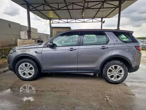 Used LAND ROVER DISCOVERY Hybrid 2021 Ad 