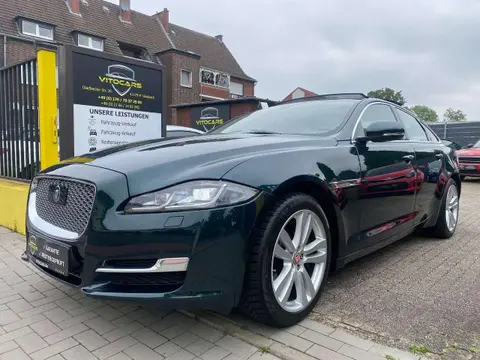 Used JAGUAR XJ Diesel 2017 Ad 